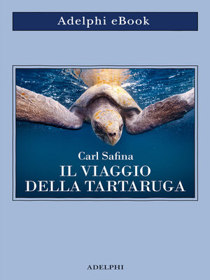 cover image of Il viaggio della tartaruga